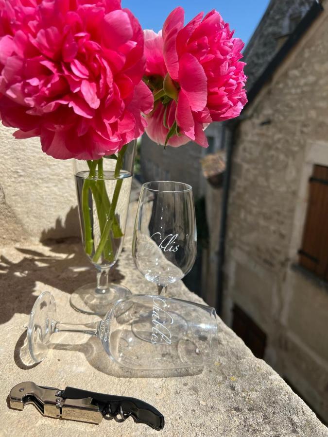 La Maison D'Alienor - Gites De Caractere A Chablis - 89 Dış mekan fotoğraf