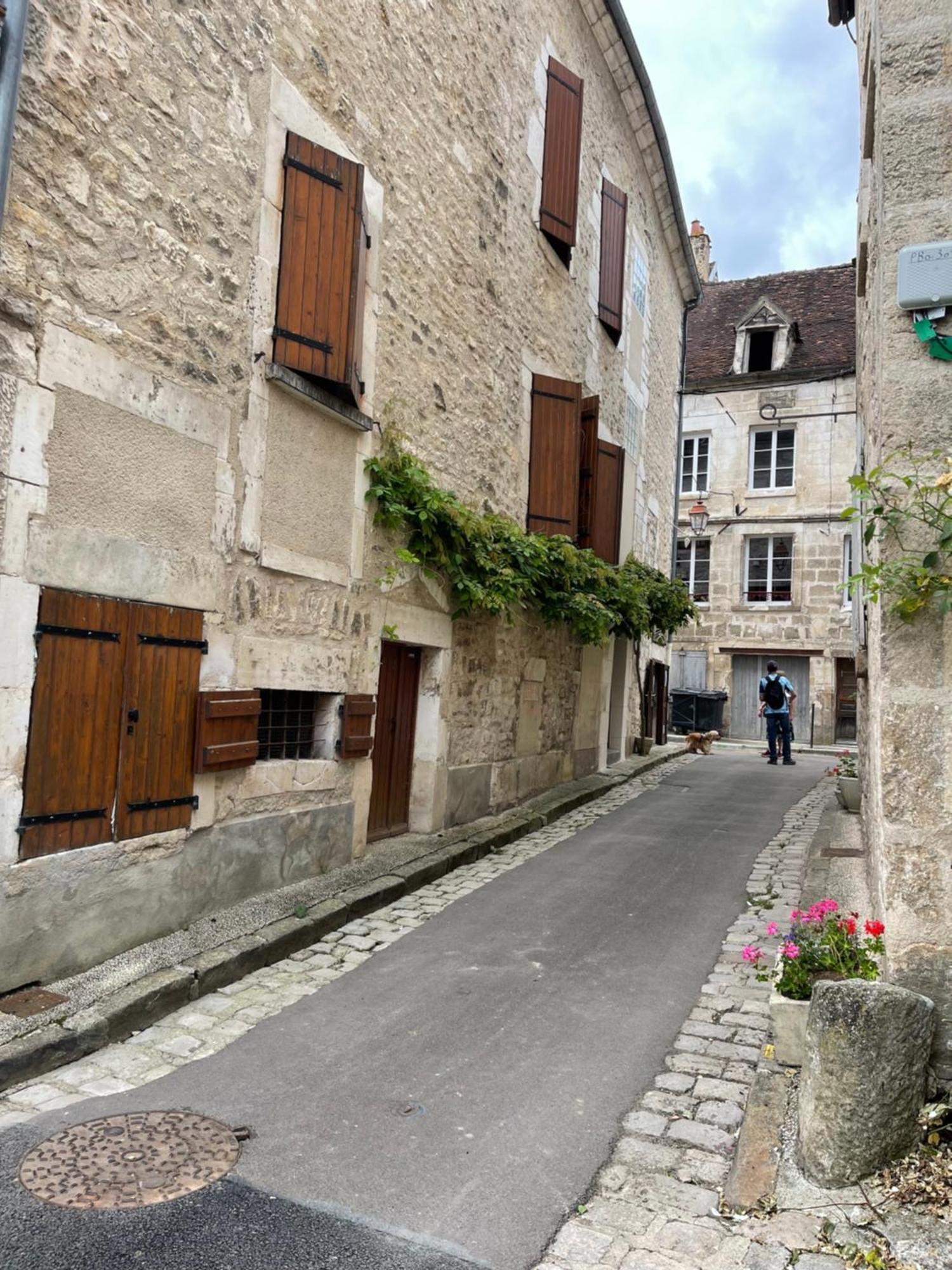 La Maison D'Alienor - Gites De Caractere A Chablis - 89 Dış mekan fotoğraf
